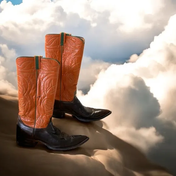 1960’s Tony Lama Western BootsUnique One-of-a-Kind!Size 11