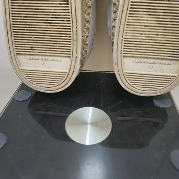 Alexander Wang Asher Achilies LowtopHigh Fashion Sneakers.