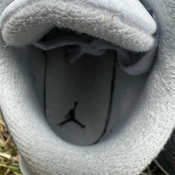 CLEAN Air Jordan 3 Elephant size 10c Toddler Hide n Sneak shoes