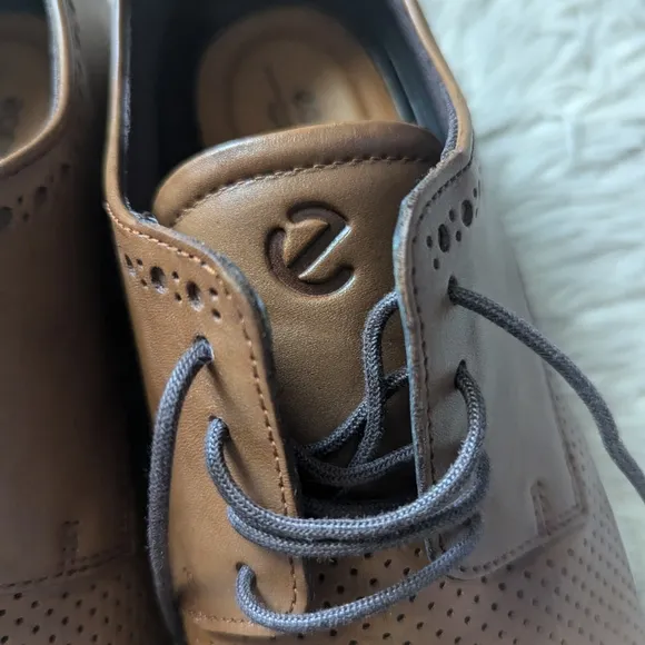 ECCO Men's S Lite Hybrid Perforated Oxford in Brown