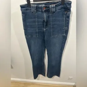 EUC Pilcro The Icon Flare Jeans | Size 28 | Blue Denim