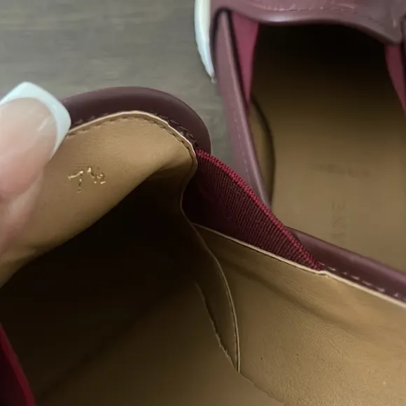 Everlane Women's Burgundy Pointed Leather Street Sneaker Size 7.5