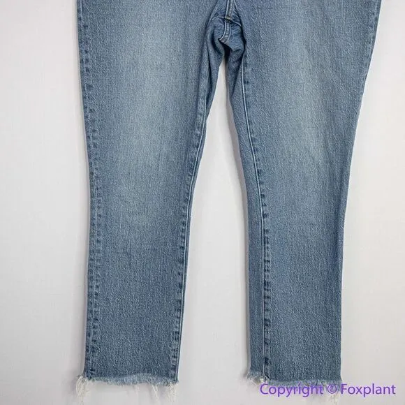 Madewell The Perfect‎ Vintage Jean in Ainsworth Wash, 32
