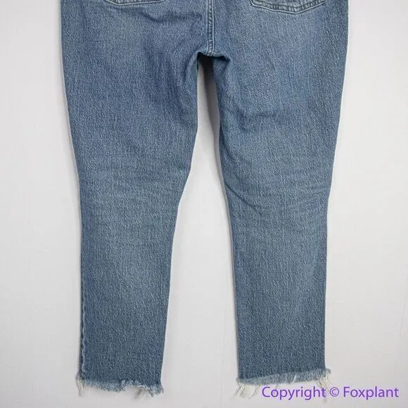 Madewell The Perfect‎ Vintage Jean in Ainsworth Wash, 32