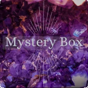 Mystery Shoe Bundle