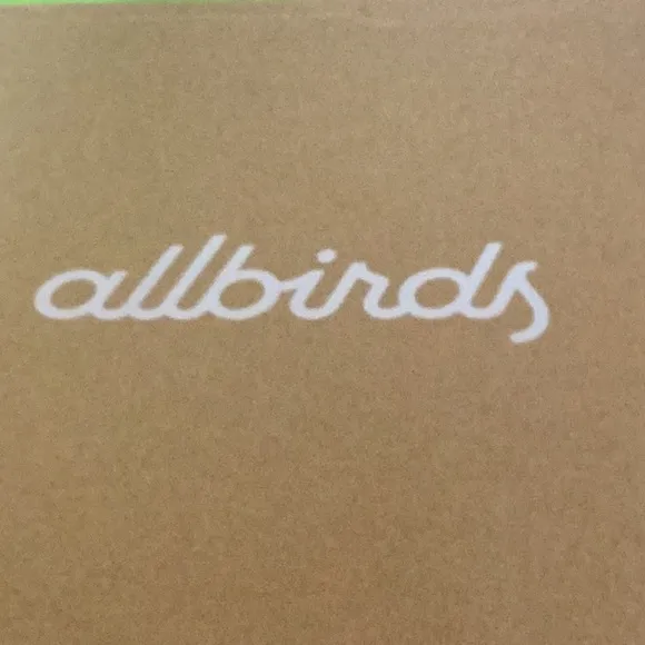 NIB Allbirds Size W8 Shoes Canvas Pacer Thrive Teal