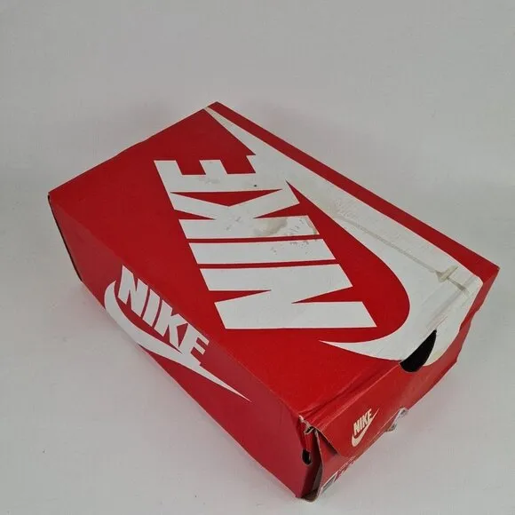 Nike Air Mission Blue Pink Basketball Leather