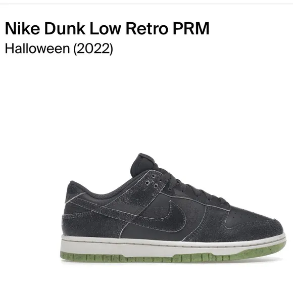 Nike Dunk Low Retro Shoes ☑️