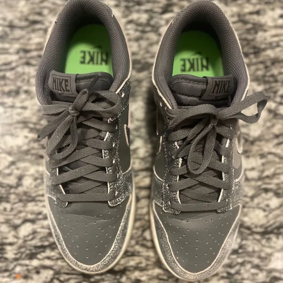 Nike Dunk Low Retro Shoes ☑️