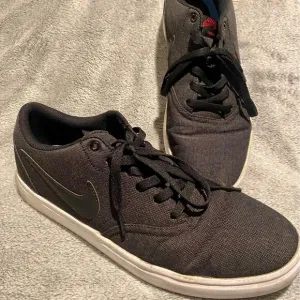 Nike Shoes Men's Size 11.5 SB Solarsoft Skateboard Sneakers