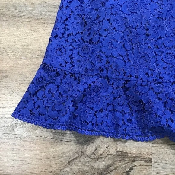 Nwt Anthro Cupcakes and Cashmere Dress Size 8 Lace Blue Summer