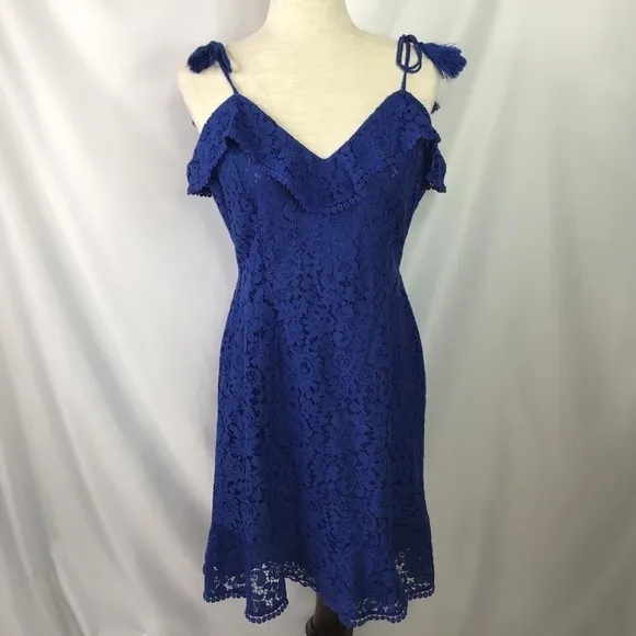 Nwt Anthro Cupcakes and Cashmere Dress Size 8 Lace Blue Summer