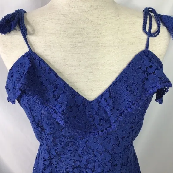 Nwt Anthro Cupcakes and Cashmere Dress Size 8 Lace Blue Summer