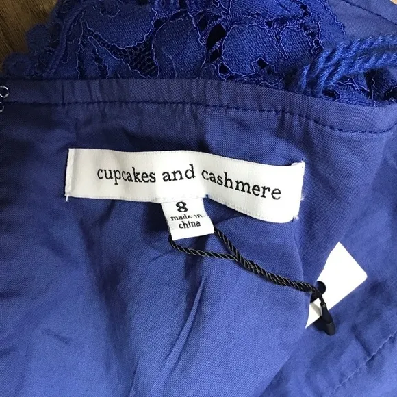 Nwt Anthro Cupcakes and Cashmere Dress Size 8 Lace Blue Summer