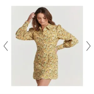 NWT CHARLIE HOLIDAY 70'S PAISLEY MINI HARPER DRESS