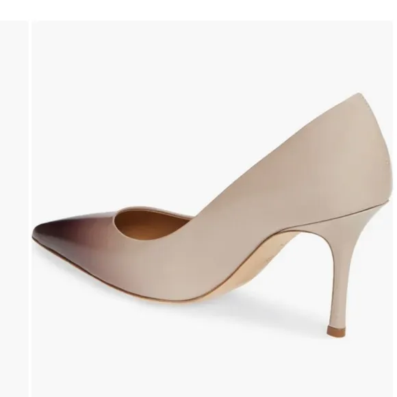 Penelope Ombré Pointed Toe Pump (Women) Tory Burch