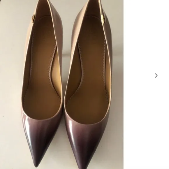 Penelope Ombré Pointed Toe Pump (Women) Tory Burch