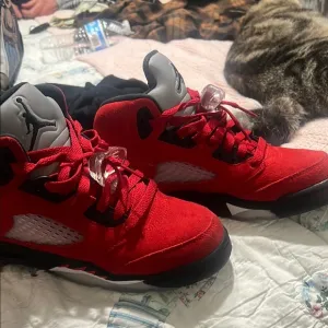 Retro 5’s Jordans Great Condition