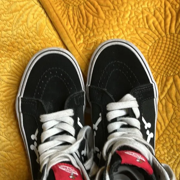 Vans Peanuts Snoopy with Woodstock hi top sneaker 2017