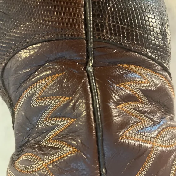 VTG Dan Post Women's Teju Lizard Exotic Boots Sz 6 A